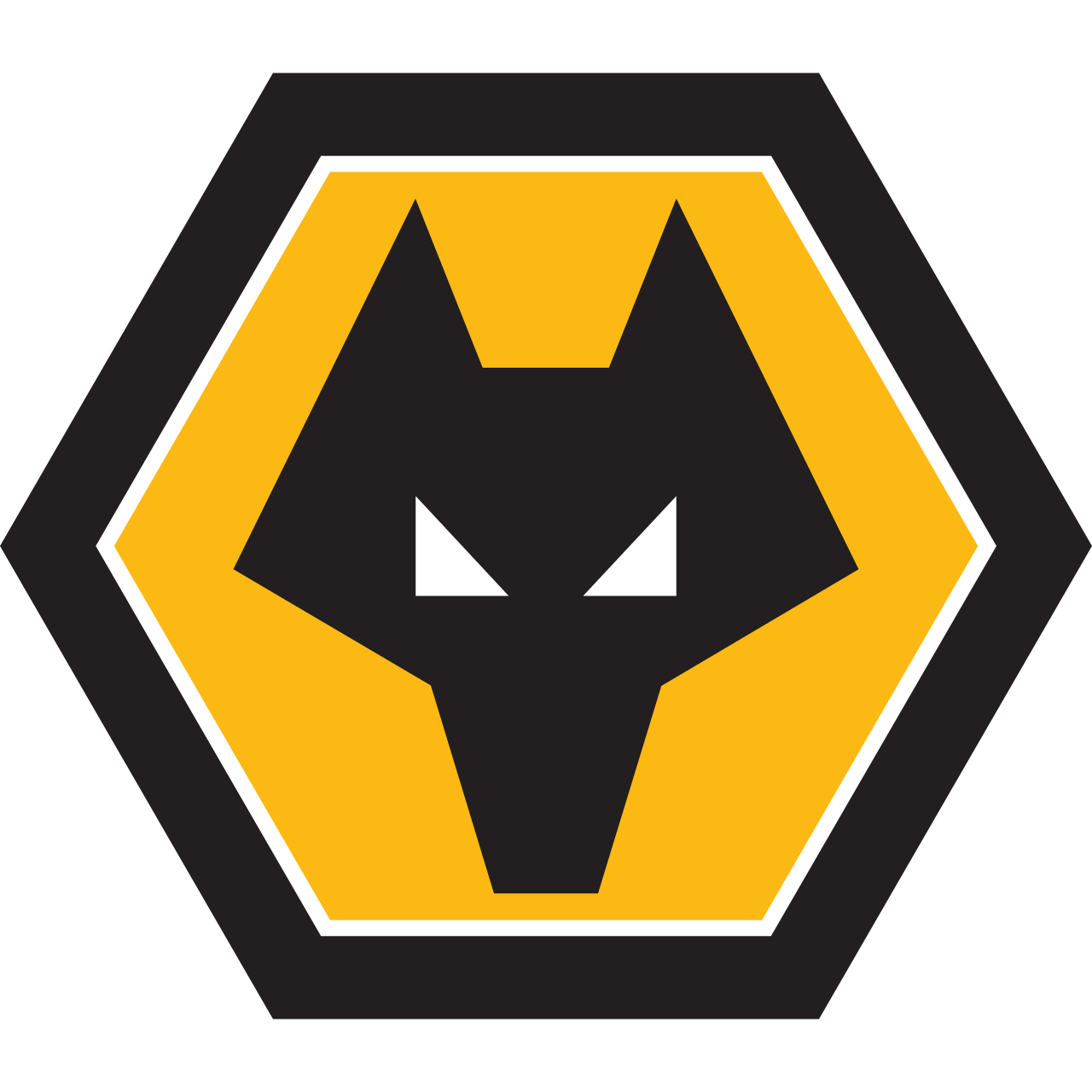 Wolverhampton Wanderers FC